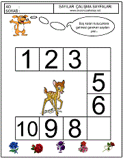 sayılar örüntü çalışmaları